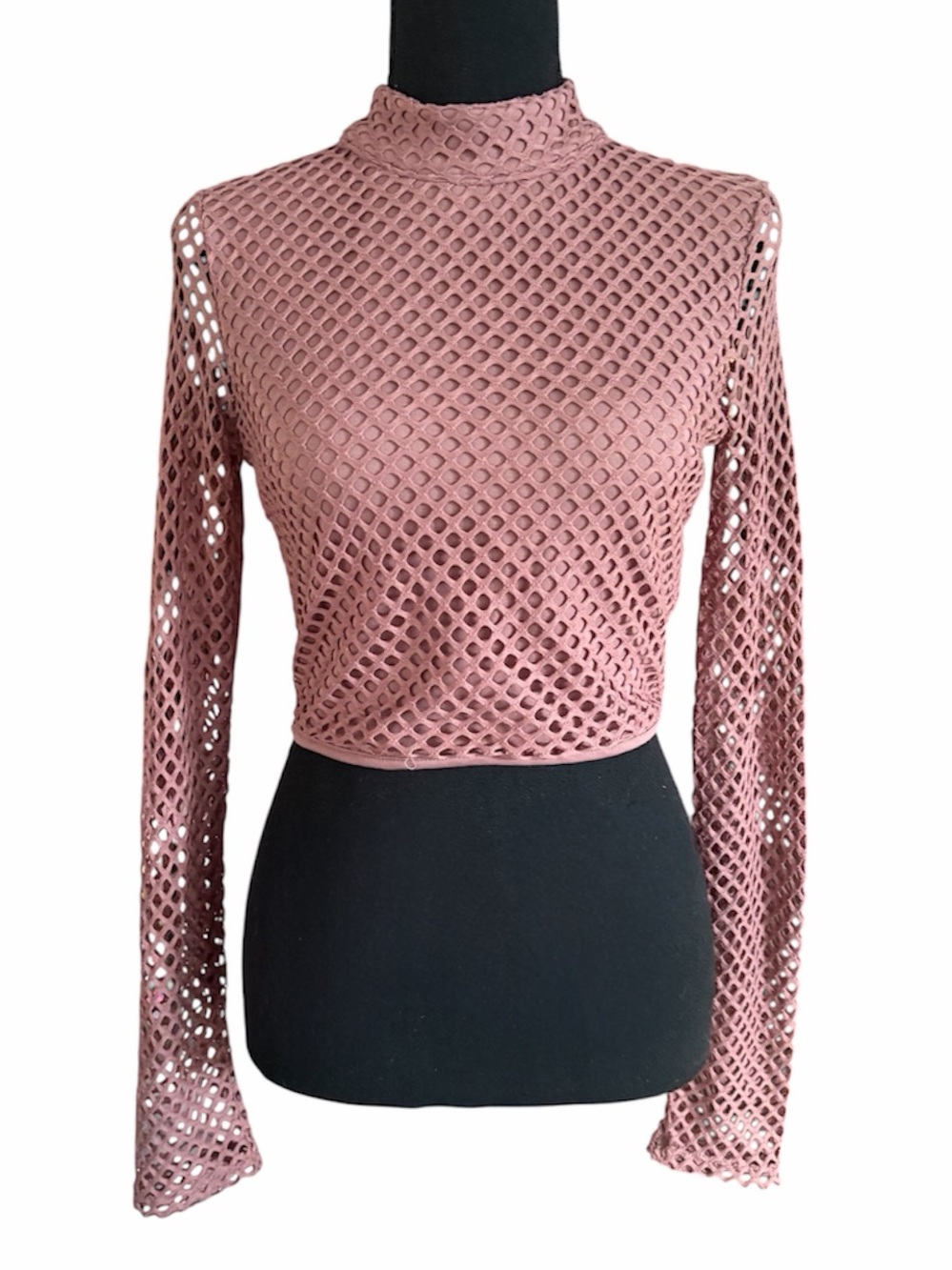Mudd Pink/Mauve Mesh Long-Sleeve Crop Top